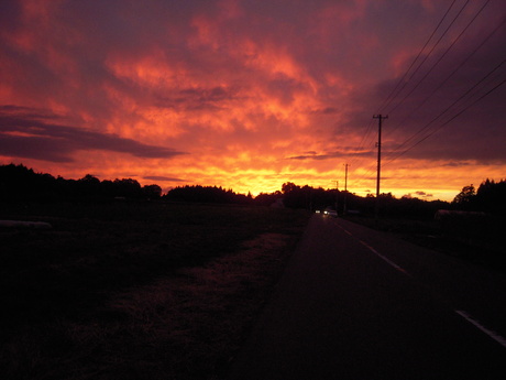 d0234293_183261.jpg