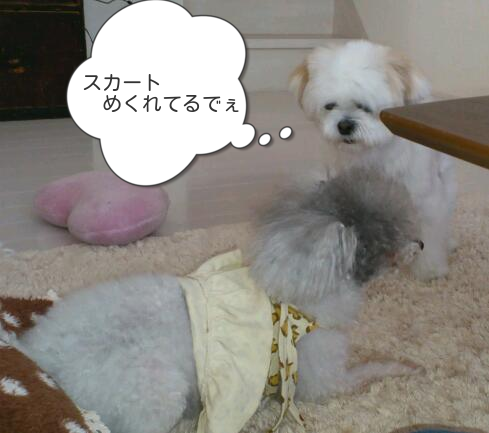 b0237894_14134776.png