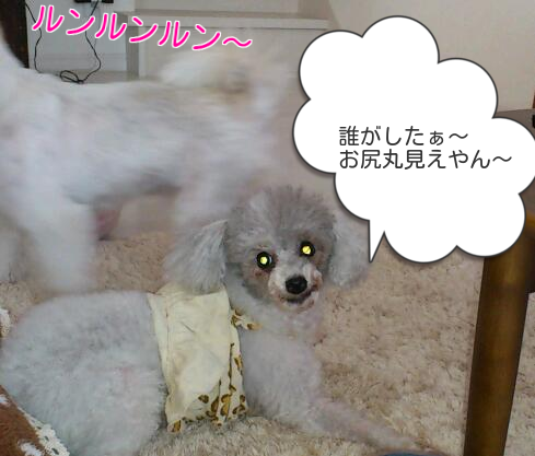 b0237894_14182715.png
