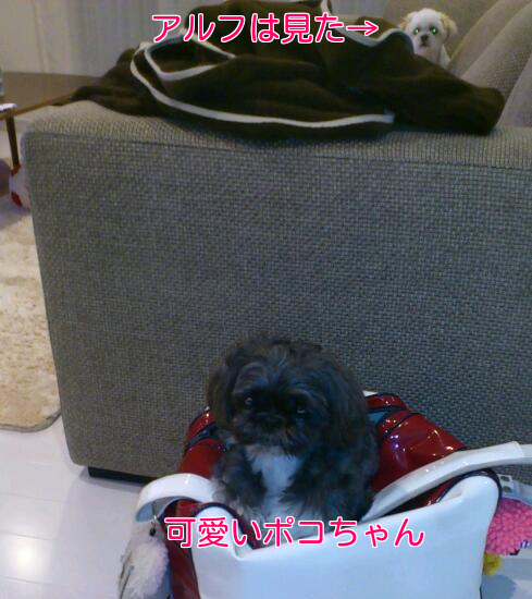 b0237894_14203673.png