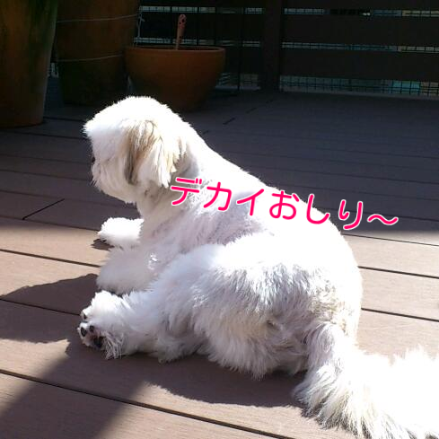 b0237894_14212380.png