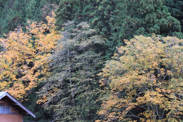 c0117597_19126.jpg