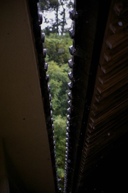 “お寺deYOGA”2012　フォトアルバムその１_d0157497_15332145.jpg