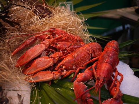 c0090198_2301752.jpg