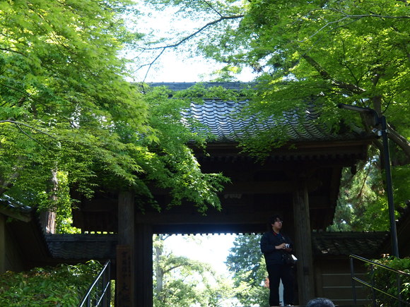a0288500_955481.jpg