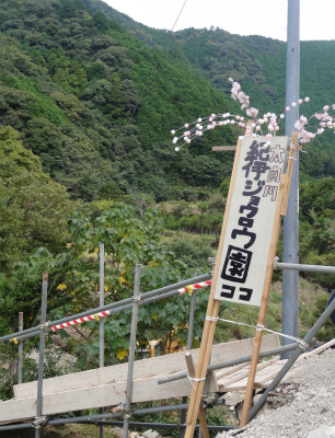 c0125501_6375359.jpg
