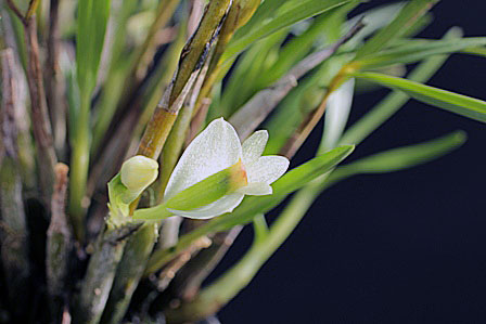 d0007501_10114915.jpg