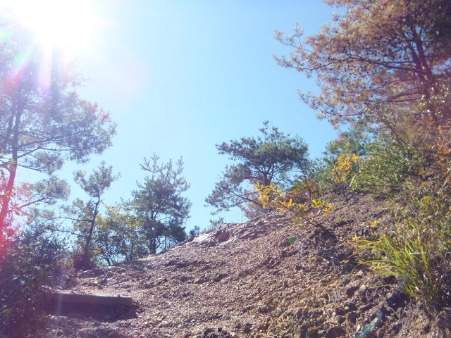 a0271502_17224251.jpg