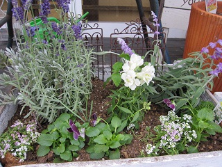c0152002_19329.jpg