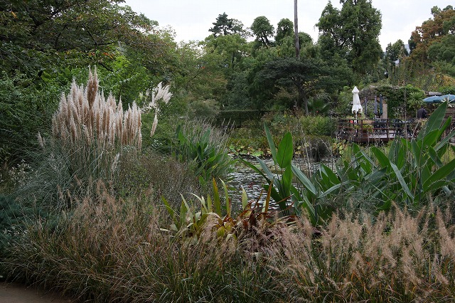 a0123003_22581145.jpg
