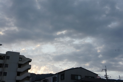 b0173606_20173629.jpg