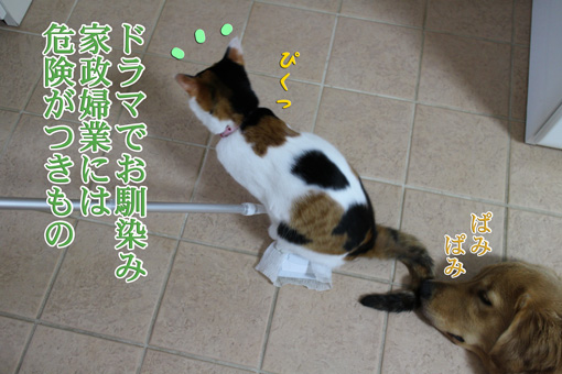 e0072606_1403989.jpg