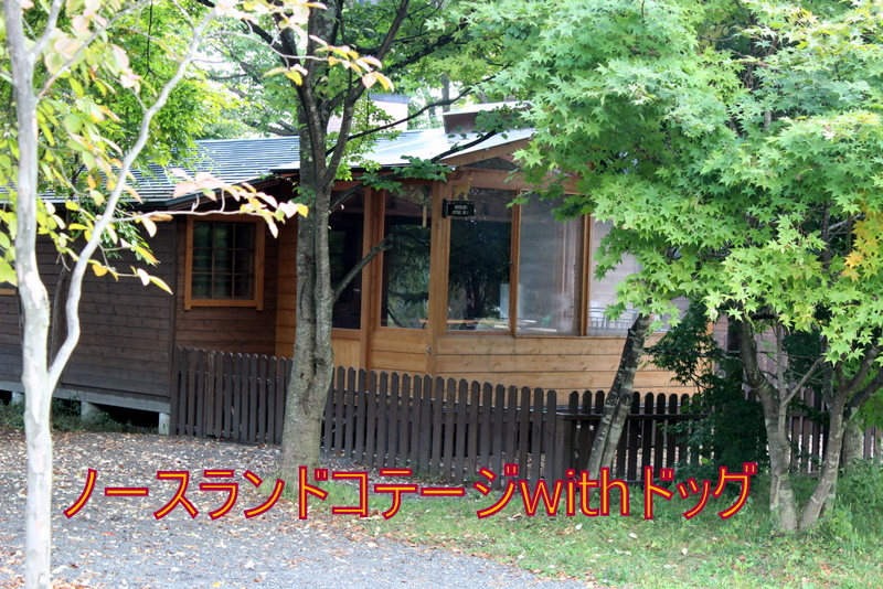 f0224506_21284940.jpg