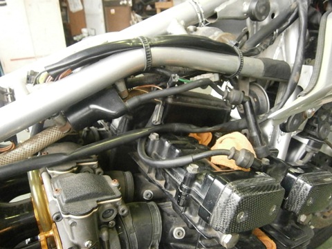 a0145207_7325341.jpg