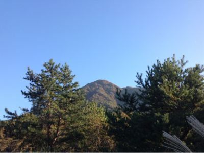 大変です‼_e0179508_16395894.jpg