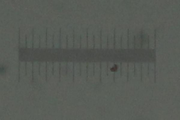 あたりまえの確認_c0164709_7134516.jpg