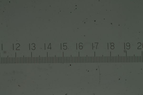 あたりまえの確認_c0164709_79536.jpg