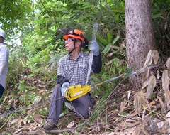 平成２４年８月２６日（日）　高川山林　参加人数：１１名+１名、天候：晴れ（時々小雨）_c0173813_1341574.jpg