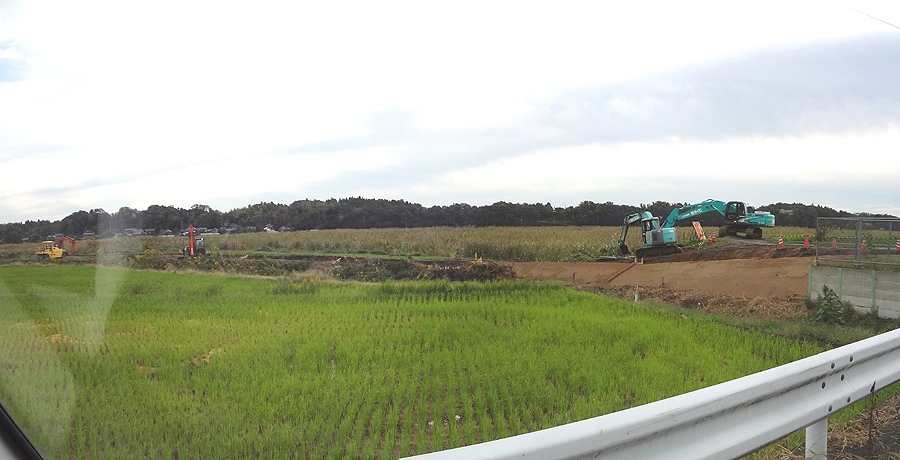 散歩道その後3_d0151813_16491710.jpg