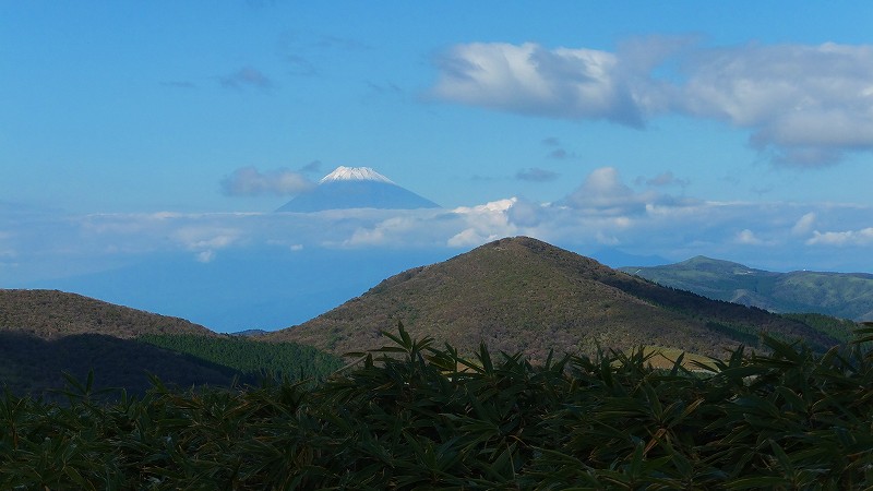f0182513_18133453.jpg