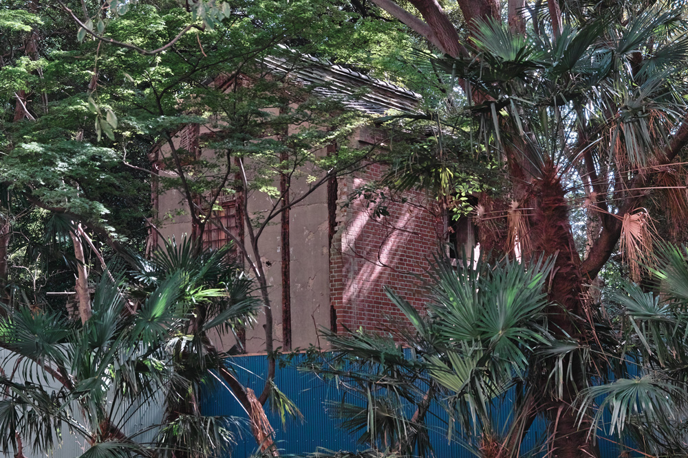 c0223825_0214667.jpg