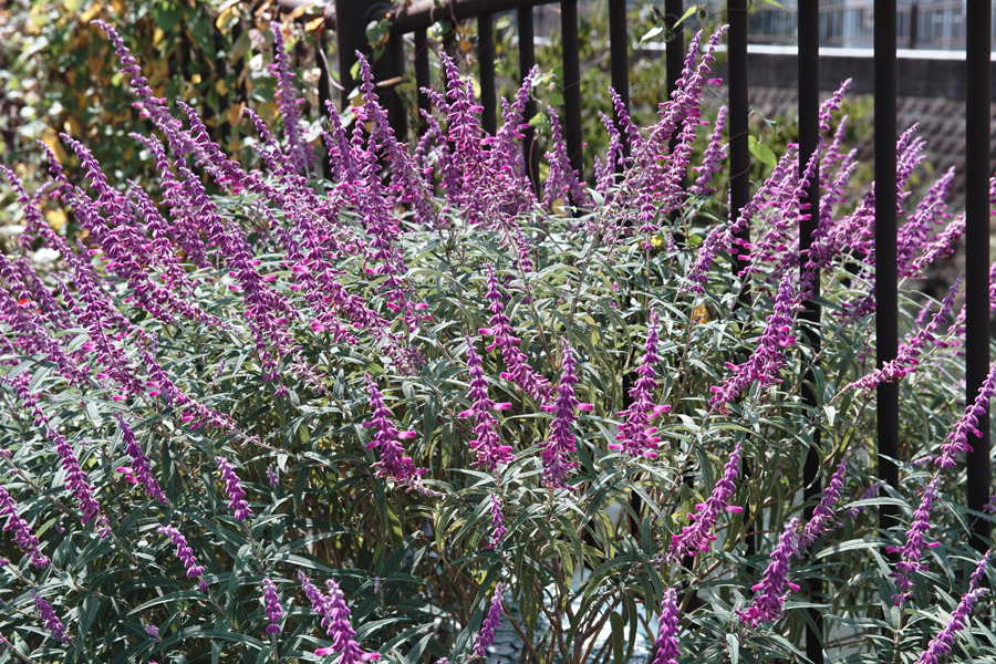 c0223825_073340.jpg