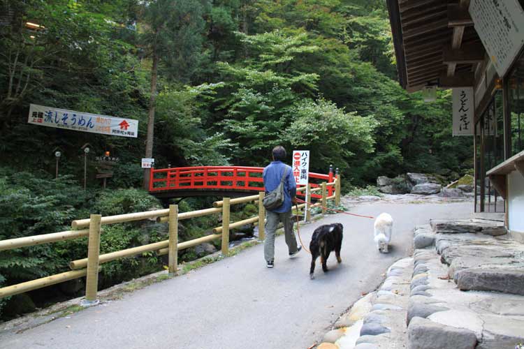 長野・岐阜旅行～その６～～阿弥陀ヶ滝・郡上八幡城～_a0151129_11291720.jpg