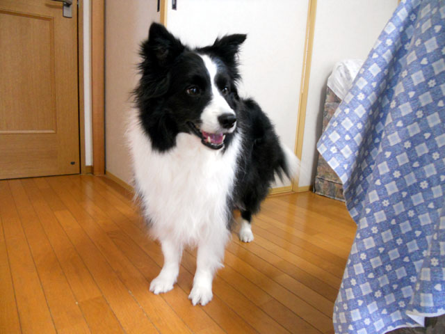 d0059230_847780.jpg