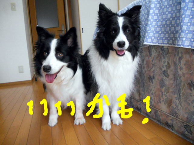 d0059230_854019.jpg