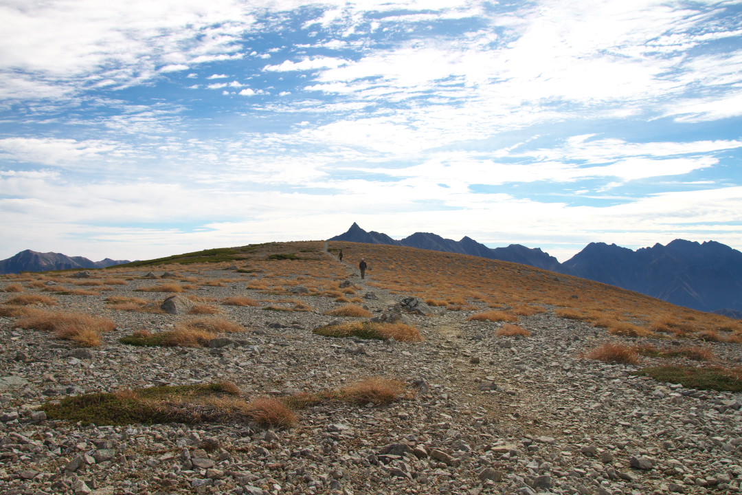 a0203733_0422324.jpg