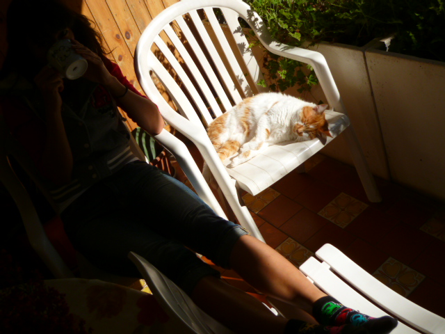d0170140_043339.jpg
