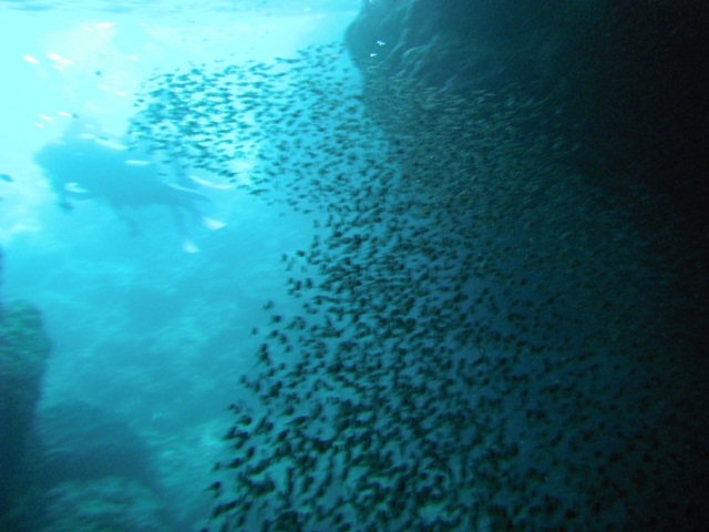 d0222641_8471163.jpg
