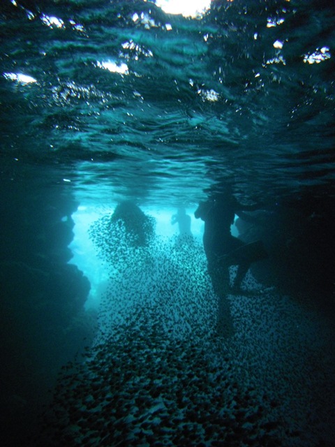 d0222641_8532411.jpg