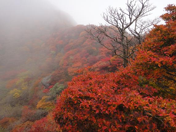 九重の紅葉・三俣山_e0164643_22134443.jpg