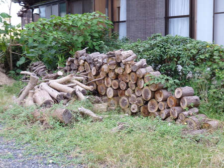 伊勢街道歩き　その４　上野宿～中瀬町～栗真町～上浜町～津宿_b0082147_23131540.jpg