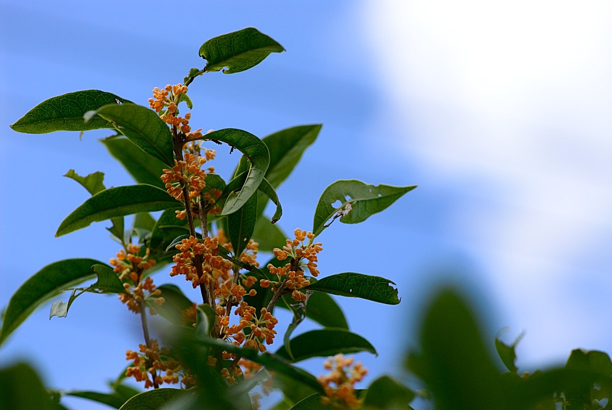 f0224648_1117489.jpg