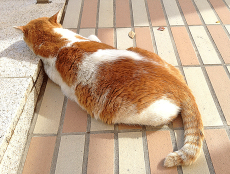 a0001354_22175089.gif
