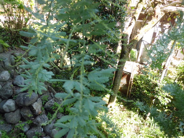 d0233866_11193192.jpg