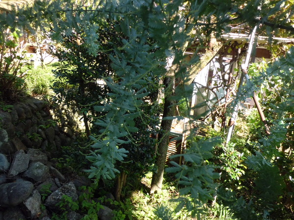 d0233866_1119379.jpg