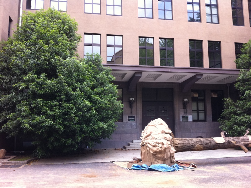旧3号館解体前 早稲田大学33号館建設記録 旧3号館解体前 早稲田大学33号館建設記録