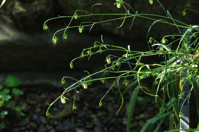 f0160480_0132469.jpg