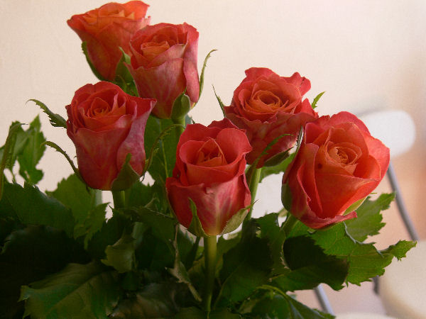 e0140986_1561796.jpg