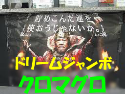 a0133388_864135.jpg