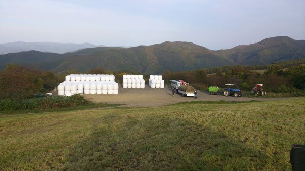 牧草の現場_f0236291_1255617.jpg