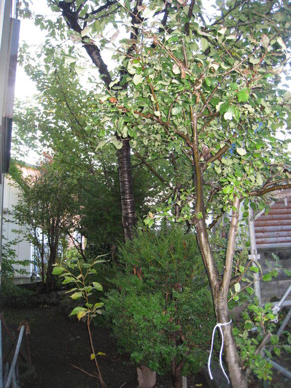 f0236391_23474953.jpg