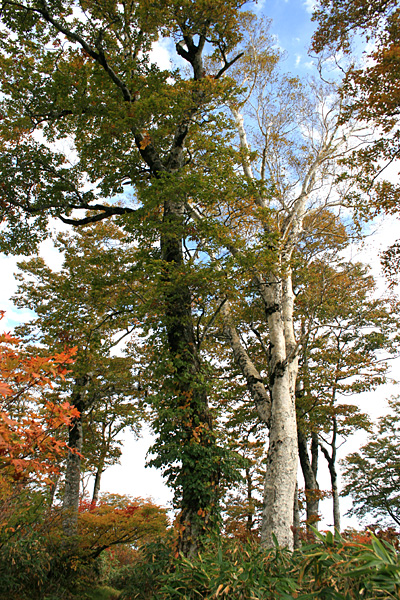 e0108592_0151844.jpg