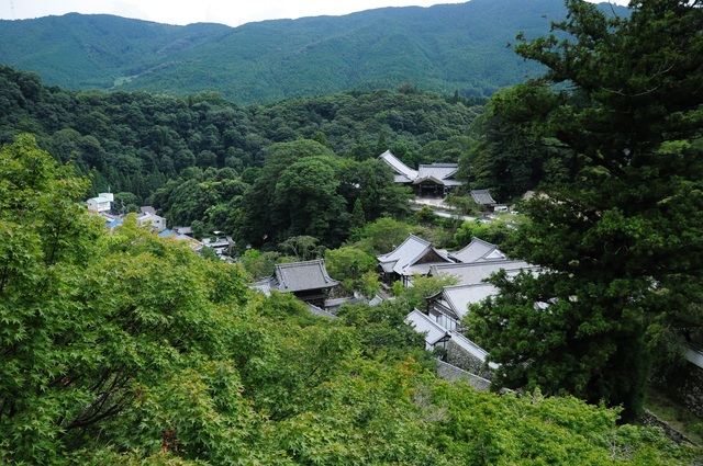 e0244492_17154246.jpg