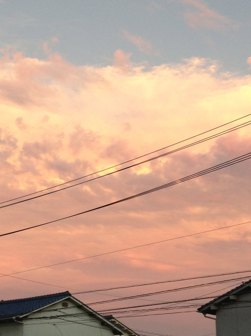 a0167896_14520.jpg