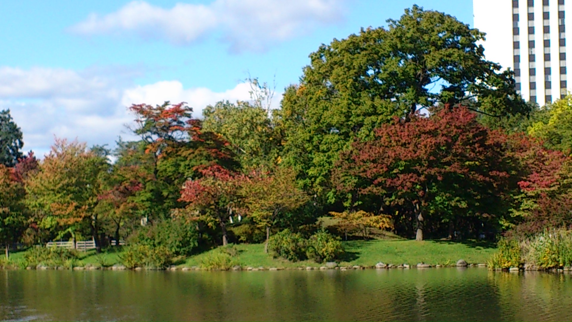 色づく中島公園(*^^*)_d0107097_1345090.jpg