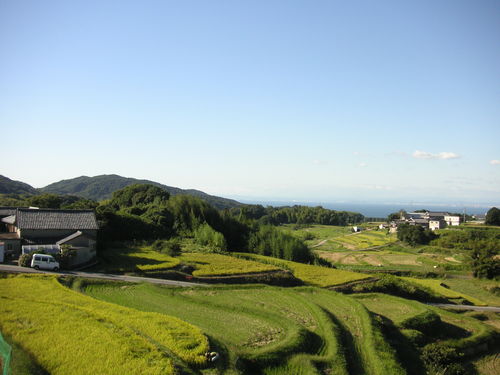 d0115997_2244195.jpg